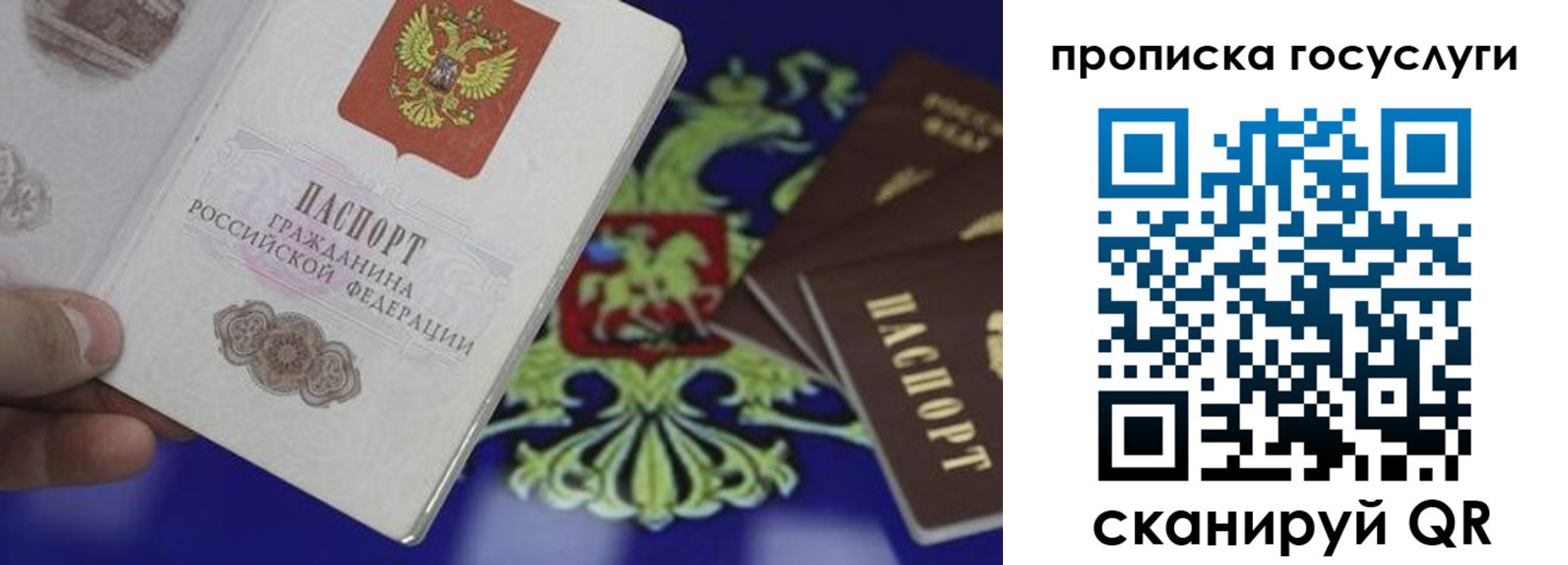 прописка для школы в Морозовске